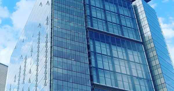 佛跳墙最新版下载v2.